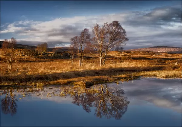 Loch Ba Reflections
