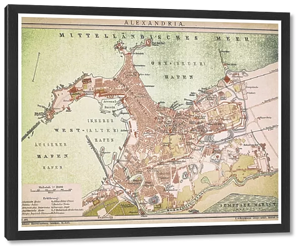 Alexandria map