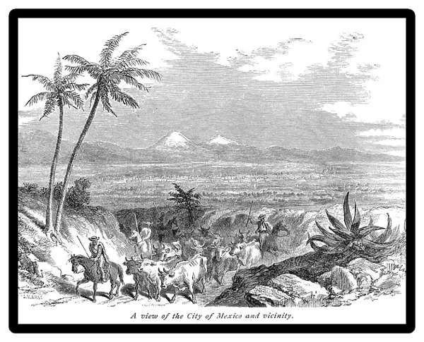 Farmers and cattle Mexico engraving 1875
