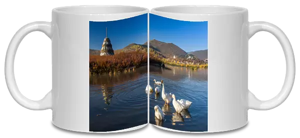 The ducks and Tibetan stupa