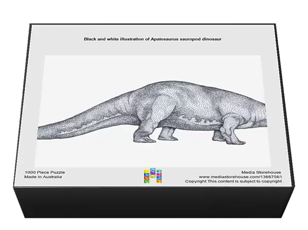 Black and white illustration of Apatosaurus sauropod dinosaur