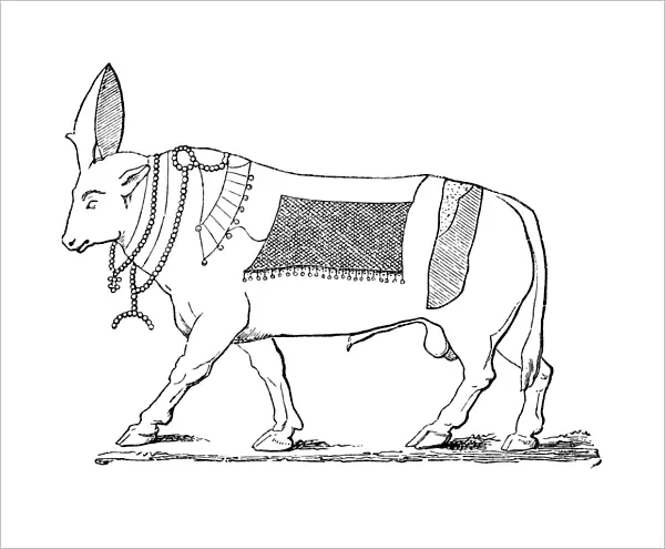 Apis bull. Illustration of a apis bull