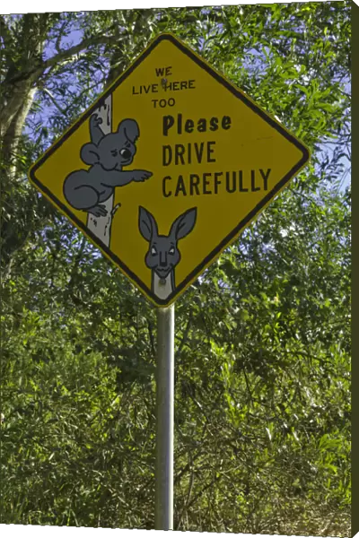Warning sign about koalas and kangaroos