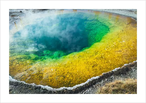 Morning Glory Prismatic hot-spring, Yellowstone NP