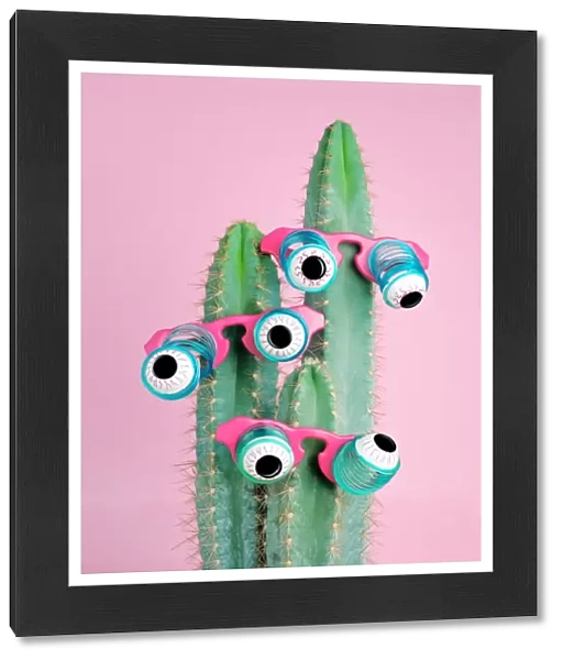 Cactus Wearing Eyeball Glasses