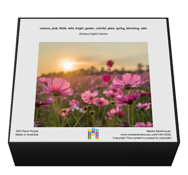cosmos, pink, fields, wild, bright, garden, colorful, plant, spring, blooming, calm