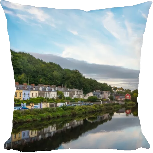 River Lee, Cork (Ireland)