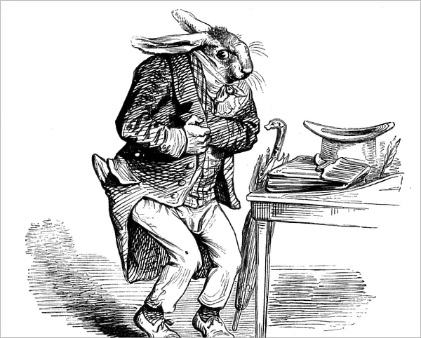 Humanized animals illustrations: Hare