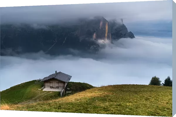 Foggy at Alpe di Siusi(Seiser Alm), Dolomites, Italy