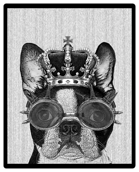 Hipster Boston Terrier Dog With Crown And Steampunk Goggles