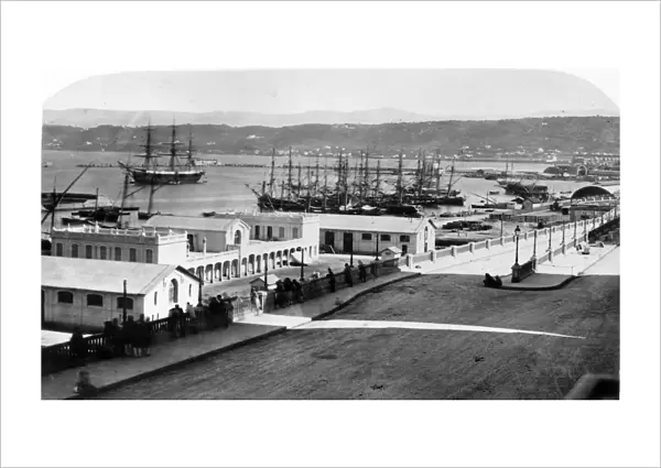 Docks In Algiers
