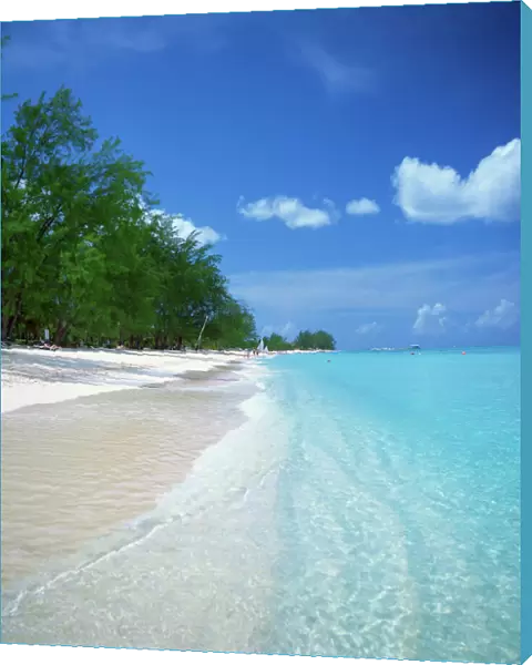 78366, 78366-022dg, Attraction, Beach, Beauty, Caribbean, Coastline, Day, Full-Color