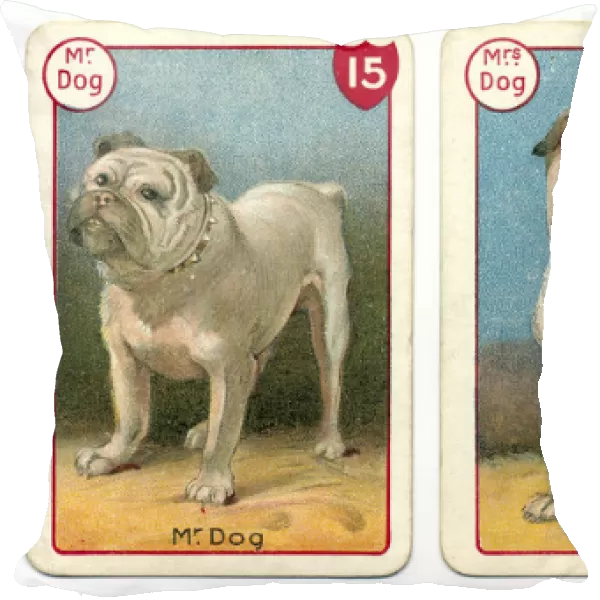 Three dog playing cards Victorian animal families game