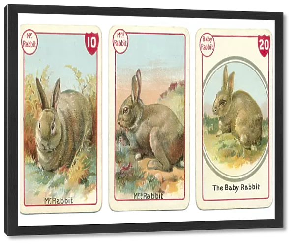 Three rabbit playing cards Victorian animal families game