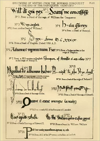 Palaeography handwriting from 11th to 13th century