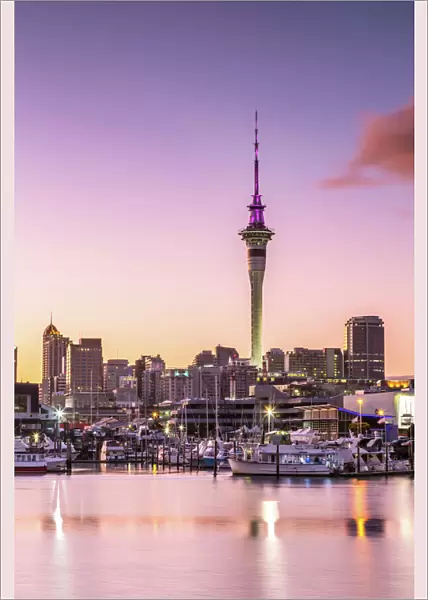 Auckland financial district and harbour at dawn, New Zealand
