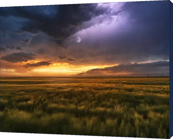 Lightning and storm cloud at sunset, Nebraska. USA