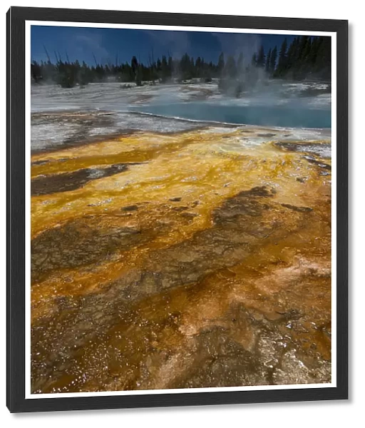 Colorful thermophile design run-off from Black Pool, West Thumb Geyser Area, Yellowstone National Park, Wyoming, USA
