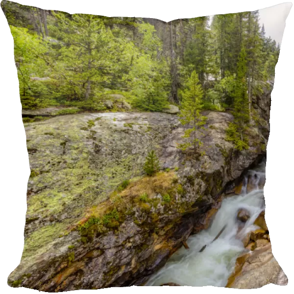 Waterfall and river cascade, Rocky Mountain National Park, Colorado, USA
