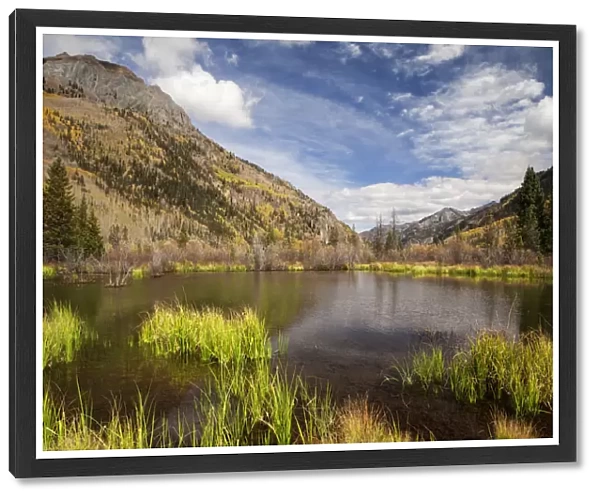 Beaver pond in mountain landscape, San Juan Mountains, Colorado, USA