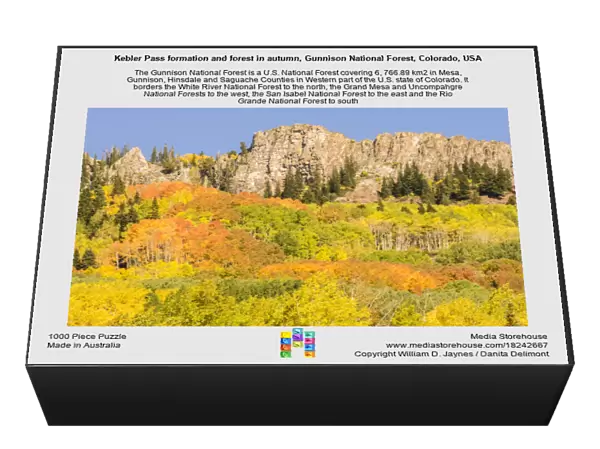 Kebler Pass formation and forest in autumn, Gunnison National Forest, Colorado, USA