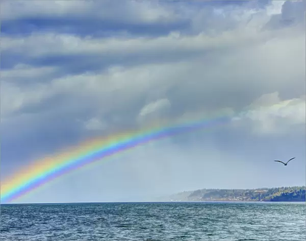 Vibrant Rainbow seen from Bracketts Landing next to Edmonds Ferry, City of Edmonds, Washington State, USA