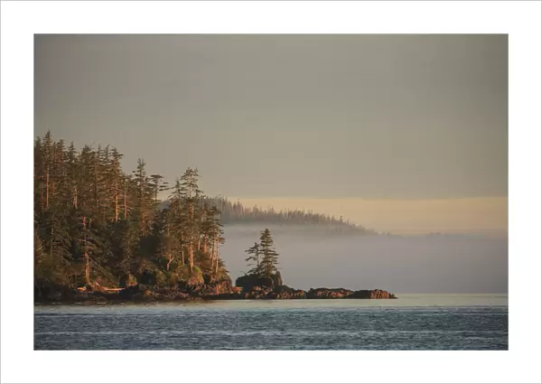 Foggy scene near Schooner Channel, Northern British Columbia, Canada