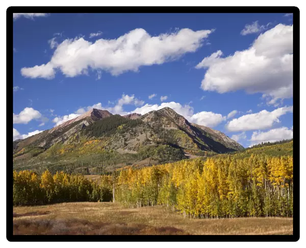 Mountain and forest landscape in autumn, Crested Butte, Colorado, USA