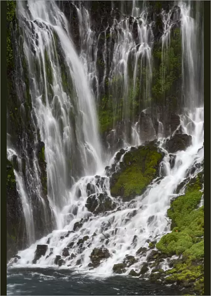 Landscape with Burney Falls, Macarthur-Burney Falls Memorial State Park, Shasta County, California, USA