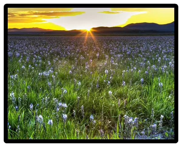 Sunset in Camas Prairie, Fairfield, Idaho, USA