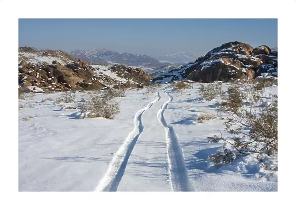 Tracks in snow, High Desert, California, USA
