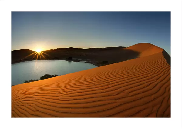 Desert Oasis and the Red Sand Dunes of Sossusvlei, Namib-Naukluft National Park, Namibia, Africa