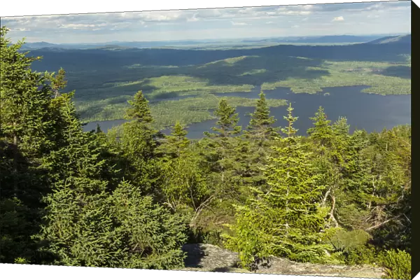Spruce forest on Moxie Bald Mountain and Bald Mountain Pond in distance, Appalachian Trail, Bald Mountain Township, Maine, USA