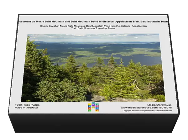 Spruce forest on Moxie Bald Mountain and Bald Mountain Pond in distance, Appalachian Trail, Bald Mountain Township, Maine, USA