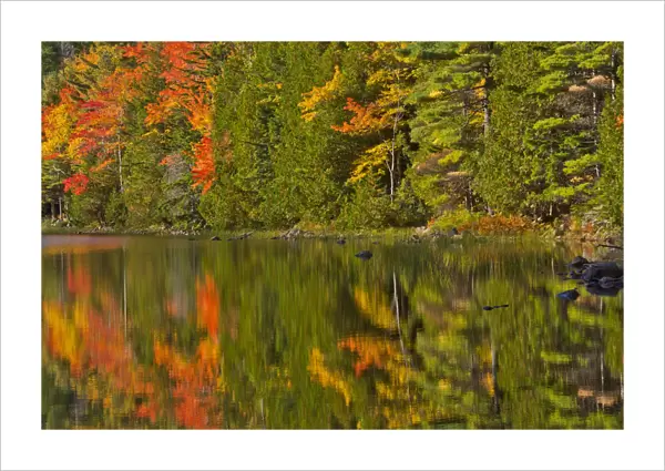 Autumn forest reflecting in Bubble Pond, Acadia National Park, Maine, New England, USA