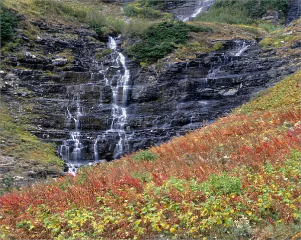 Autumn colored wildflowers and small waterfall, Garden Wall, Glacier National Park, Montana, USA