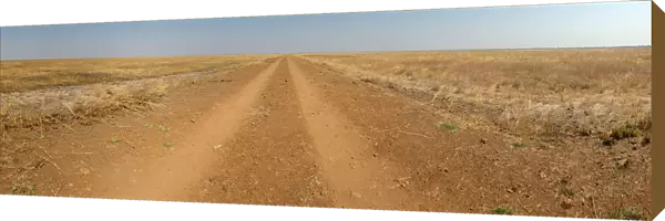 Empty dirt road, Kazuma Pan National Park, Matabeleland North, Zimbabwe