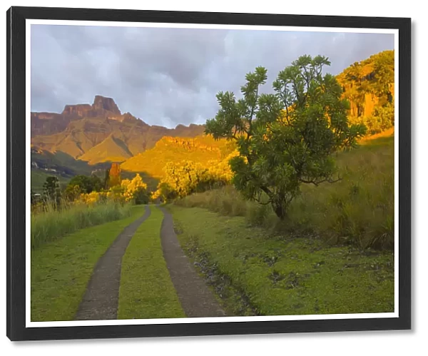 beauty in nature, color image, colour image, day, daytime, dirt track, drakensberg amphitheatre