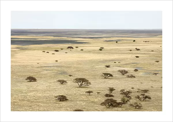 Boundary, Clear Sky, Dry, Field, Growth, Horizon Over Land, Landscape, Makgadikgadi