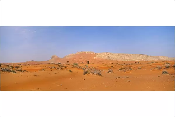 Arid Desert Dune Landscape