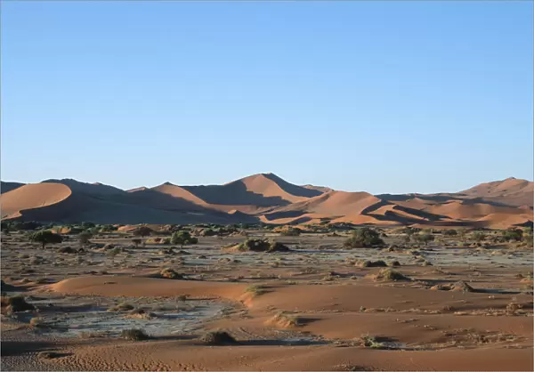 Scenic View of Desert Dunes
