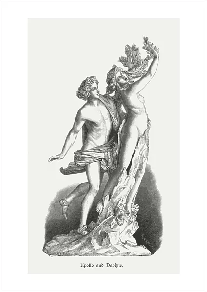 Apollo and Daphne, sculpted (1622  /  25) by Bernini, Rome, published 1879