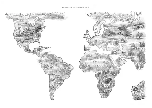 Map Distribution of animal in the world 1892