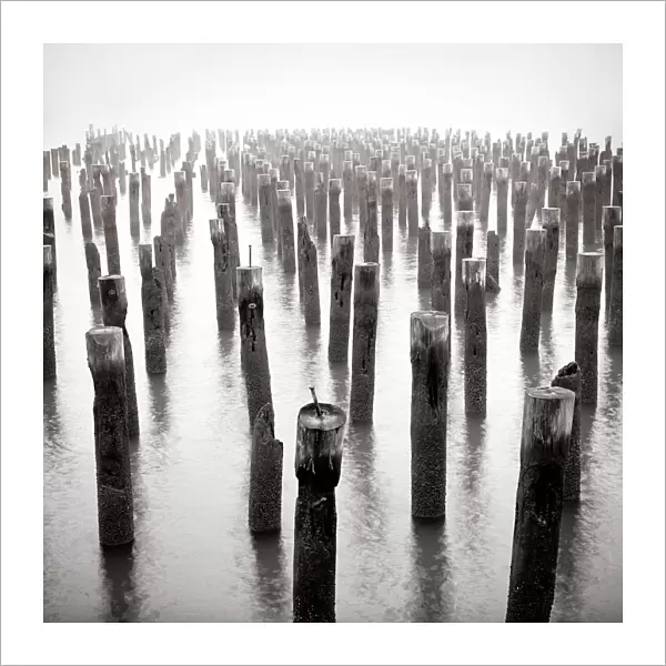 Old wooden posts in Hudson River