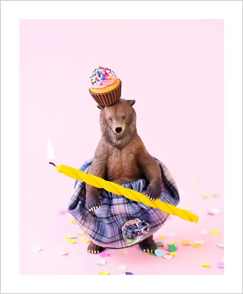 Toy grizzly bear in a skirt at a party