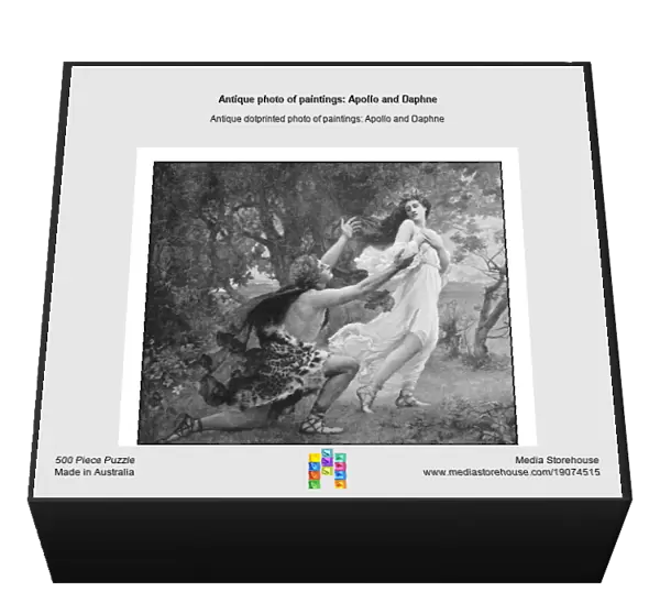 Antique photo of paintings: Apollo and Daphne