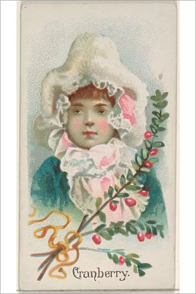 Cranberry Trade Card 1891