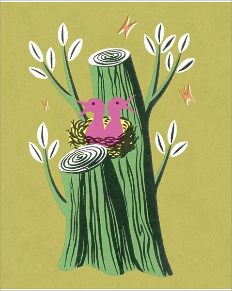 Pink Birds in a Green Tree Stump