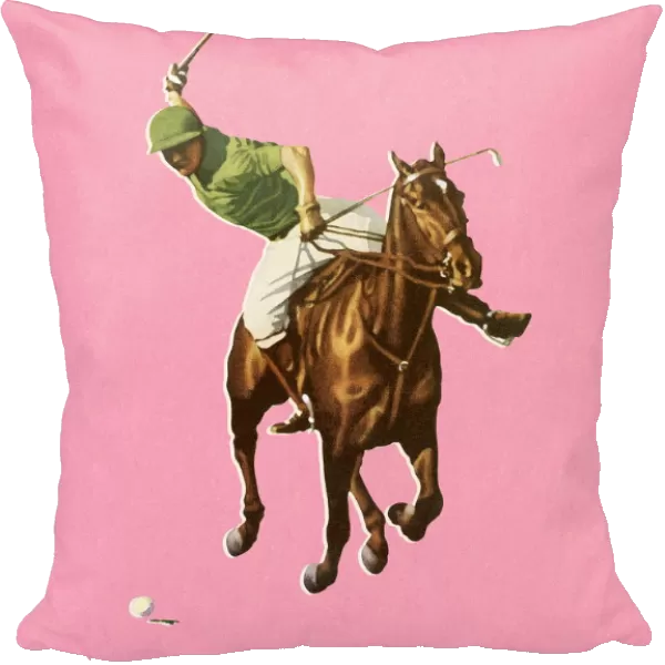 Horseback Man Playing Polo