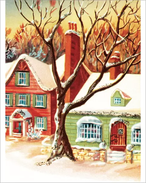 Bare tree and homes in winter